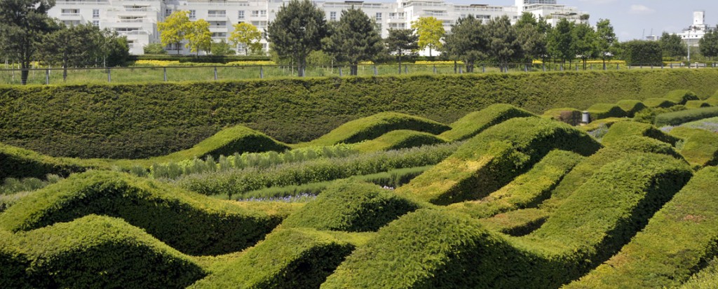 Yew Tree, Tall Hedging, Tall Evergreen, Conifer, Instant Hedge, Yew Hedge, Privacy Hedge, National Gardens