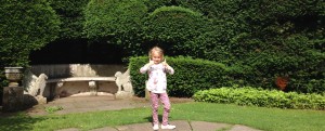 Yew Tree, Tall Hedging, Tall Evergreen, Conifer, Instant Hedge, Yew Hedge, Privacy Hedge, Family Garden