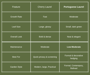Cherry Laurel Vs Portuguese laurel at a glance